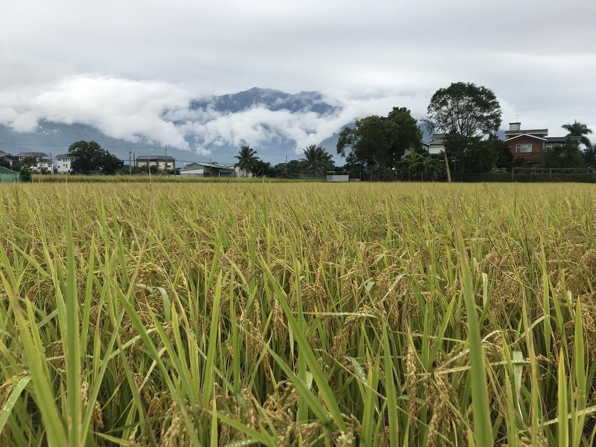 遊山水民宿一二館來電包棟可享優惠方案 Ji'an Esterno foto